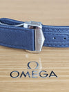 Omega Seamaster Aqua Terra 150M Steel Master Chronometer image 8